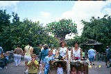 Claudia with best friend Klea and kids in Disney World
