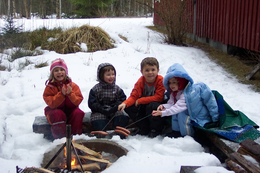 Sister and Swedish Cousins