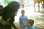 Hello Troll. Scarborough Faire, TX