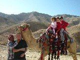 Riding a Dromedary close to the Dead Sea
