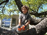 Gadget Man in a tree