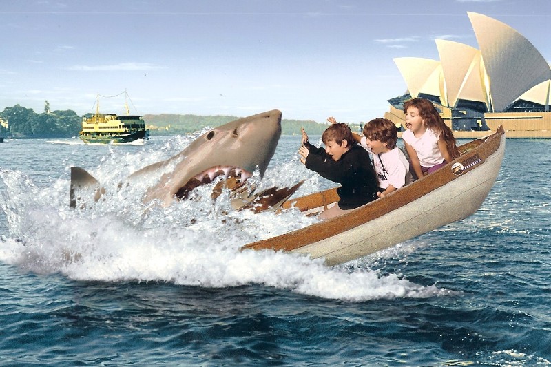 Something exciting is happening at the Sydney Aquarium