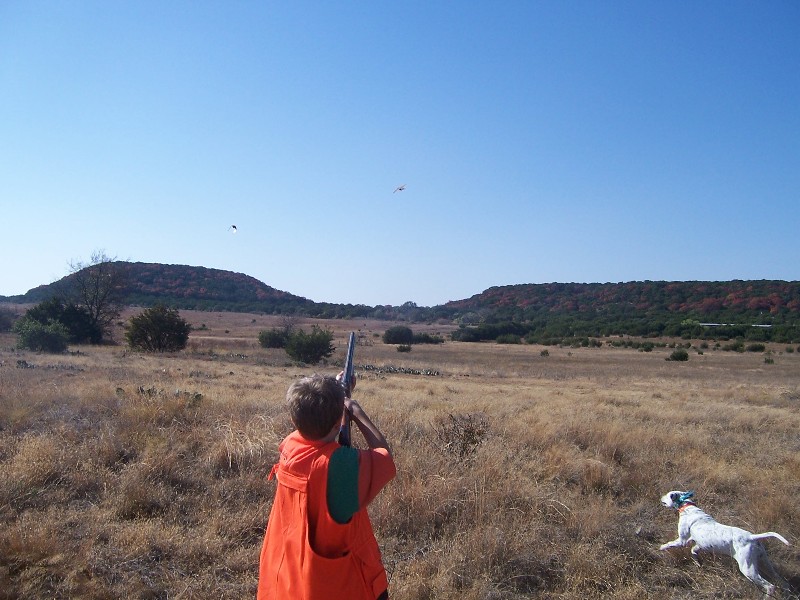 Quail Hunting at Rough Creek Lodge