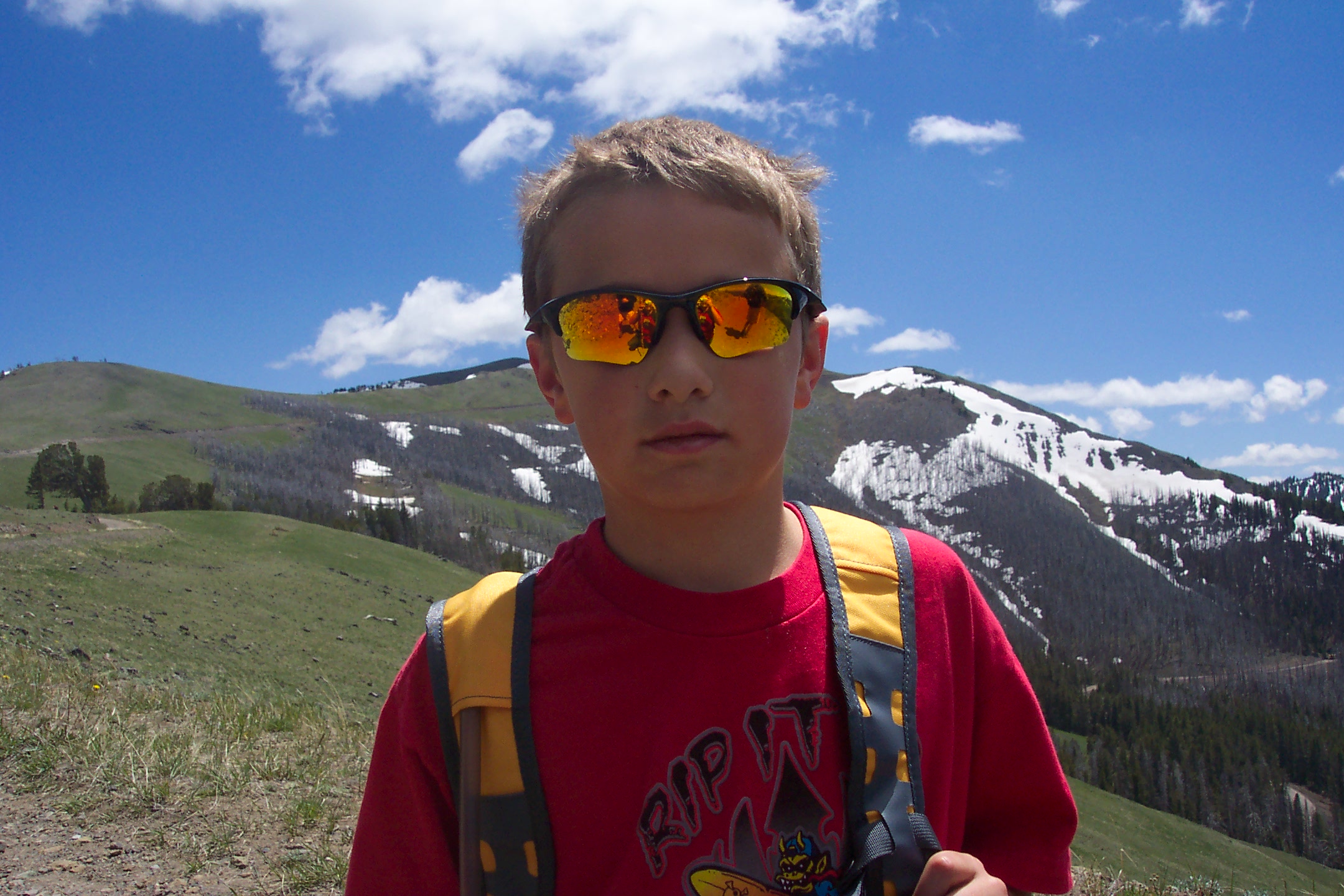 Coming down from Mount Washburn, Yellowstone National Park