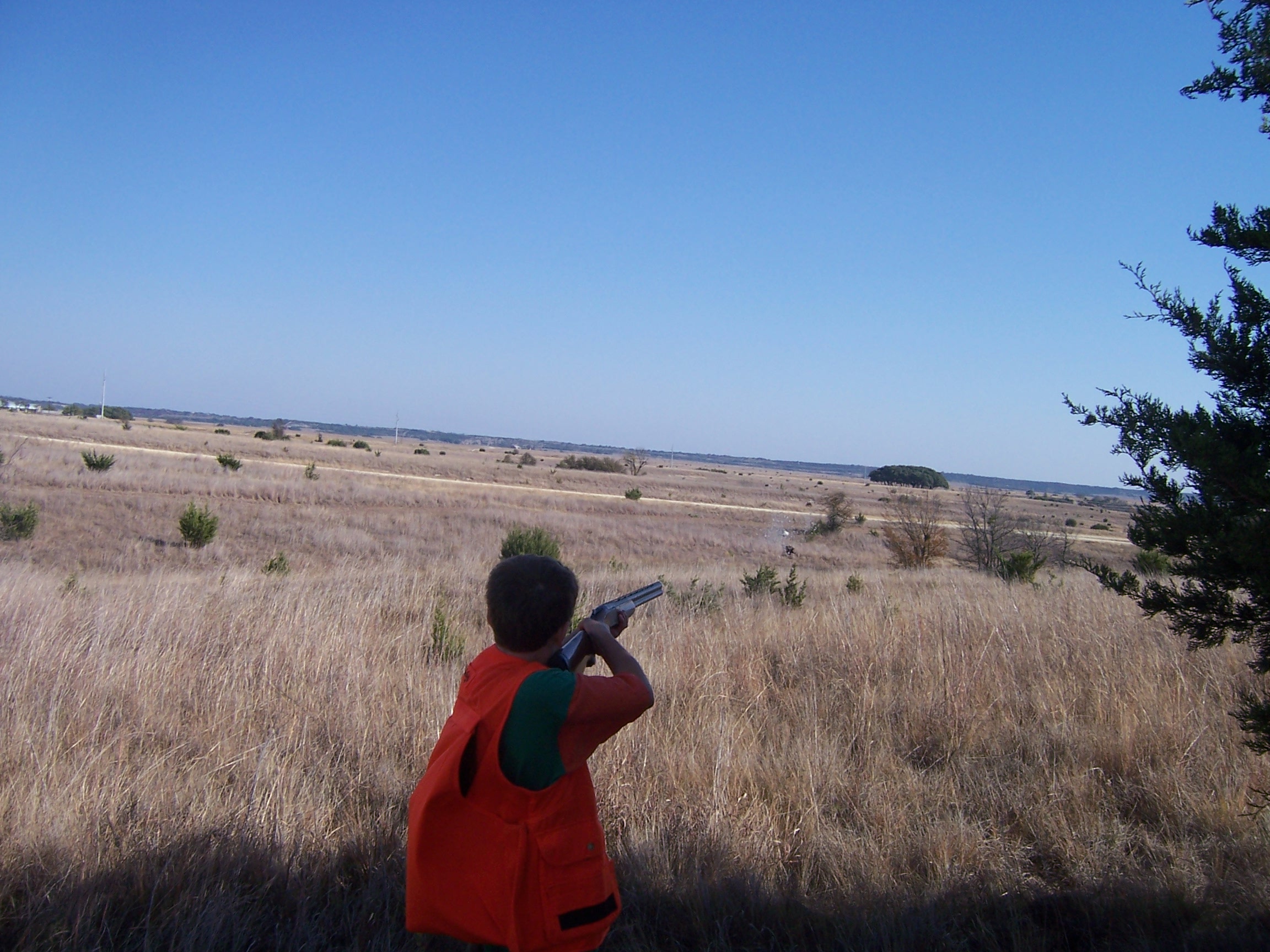 Two birds with one shot!