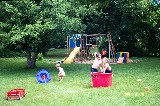 Our lawn in Germantown. Jacob has a friend visiting Our lawn in Germantown. Jacob has a friend visiting