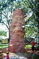 Jacob climbed this very quickly, we were visiting San Antonio Jacob climbed this very quickly, we were visiting San Antonio