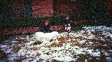 Winter time Dallas, 2001 Winter time Dallas, 2001