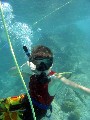 Snuba diving at St. Thomas Snuba diving at St. Thomas