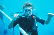 Jacob is Scuba Diving in the Great Barrier Reef. We saw lots of fish including barracudas and sharks Jacob is Scuba Diving in the Great Barrier Reef. We saw lots of fish including barracudas and sharks