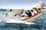 Something exciting is happening at the Sydney Aquarium Something exciting is happening at the Sydney Aquarium
