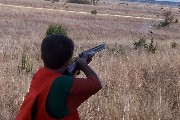 Two birds with one shot! Two birds with one shot!