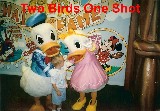 Two birds one shot Two birds one shot