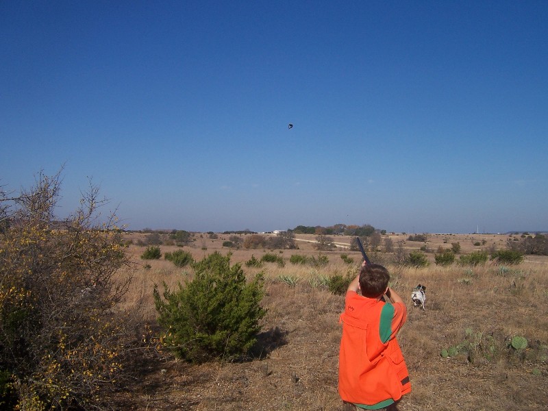 Look at Jacob aiming at shooting this bird