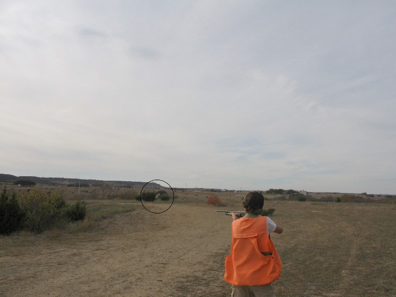 Kelan is shooting a Pheasant. The circle shows where the pheasant is. Kelan is a friend of Jacob