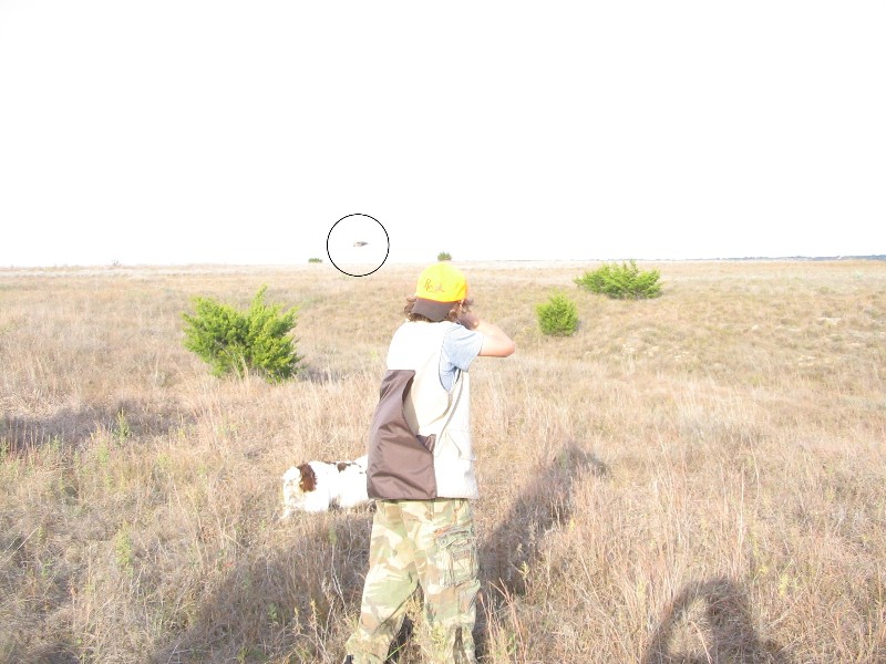 Hunting at Rough Creek. Jacob is shooting. The circle shows where the bird is