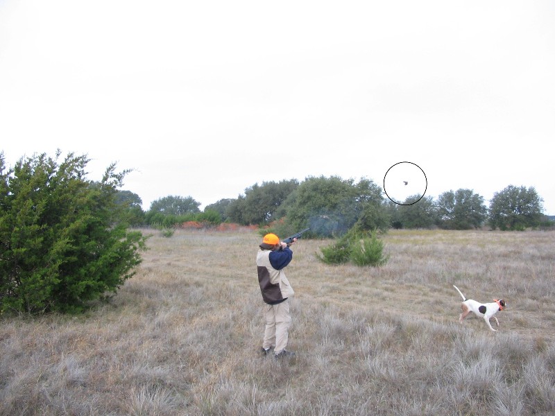 Hunting at Rough Creek. Jacob is shooting. The circle shows where the bird is