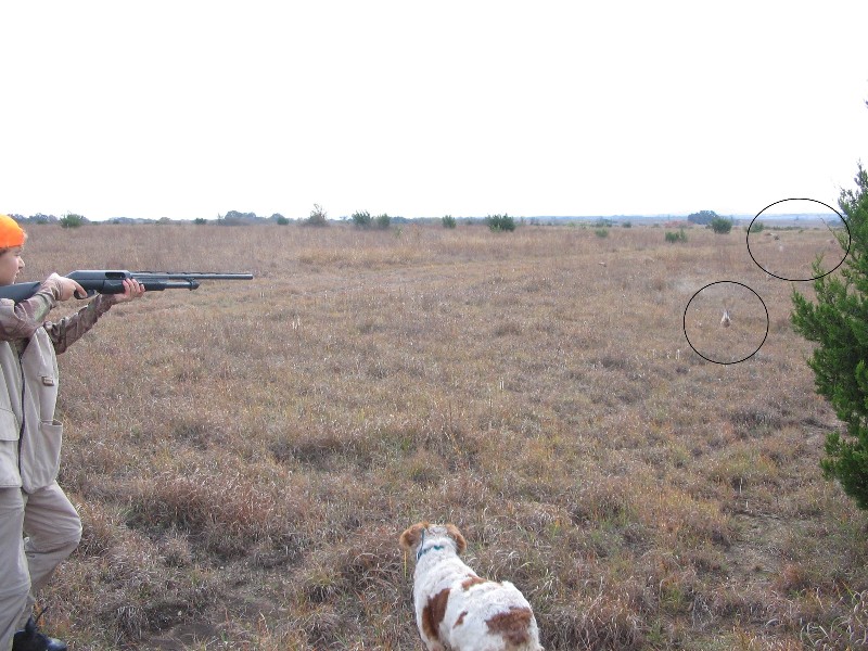 Jacob shooting. Notice the falling bird, and the other two (circles indicating position)