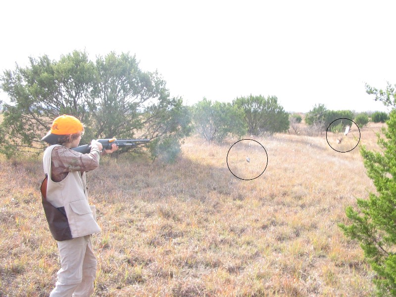 Book, Jacob shot a bird and the feathers are flying. The circles indicate position