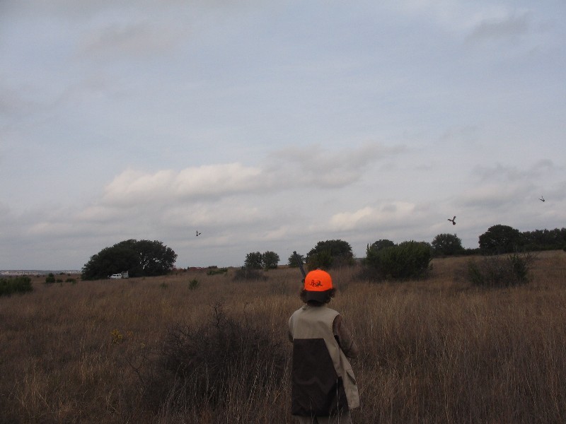 Time to shoot birds. In the morning the boys shot 45 birds and in the afternoon 44 birds