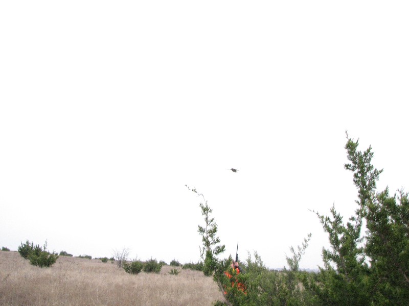Jacob aiming at bird. This time the boys got 64 birds