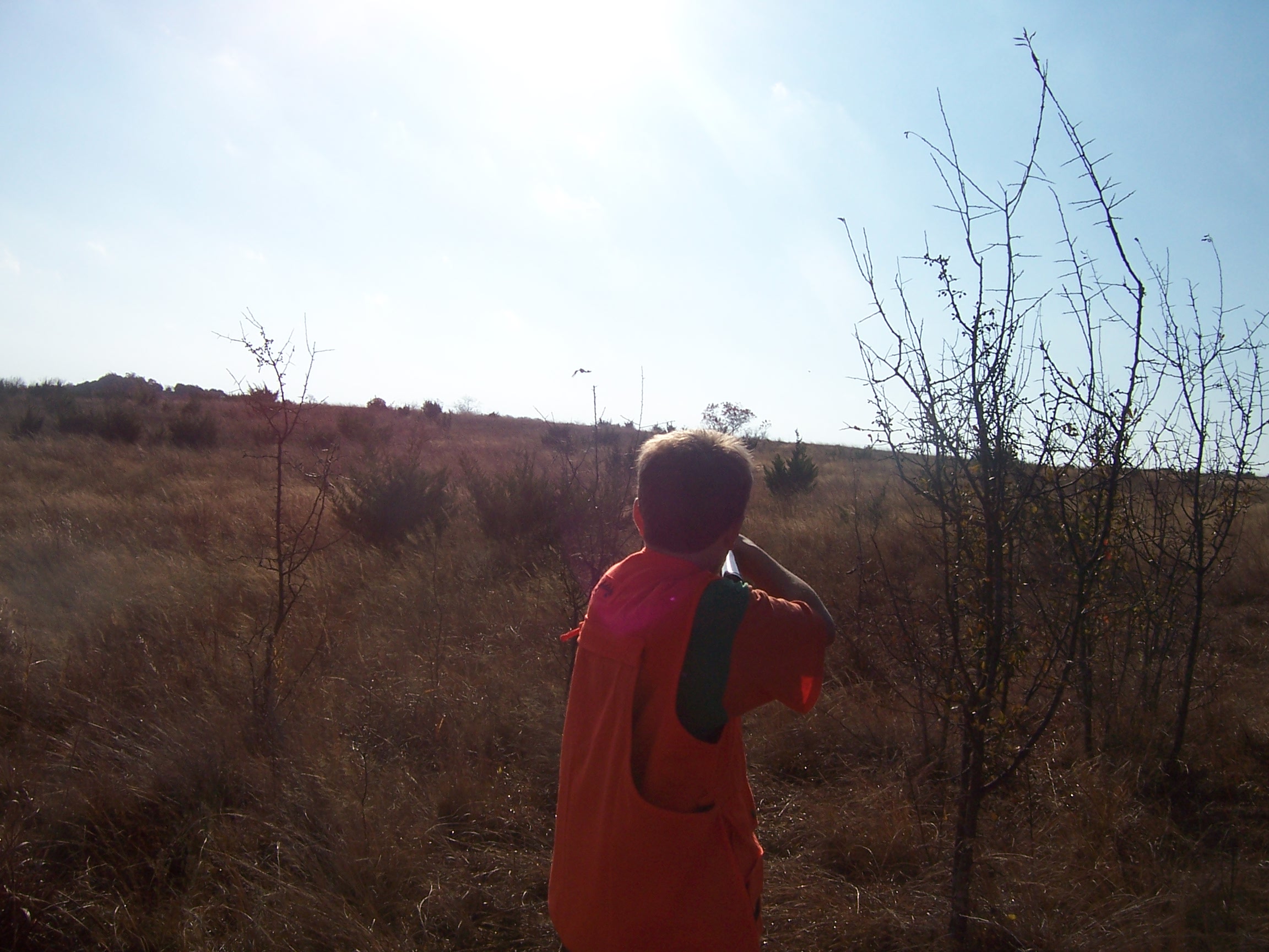 Look at Jacob aiming at shooting this bird