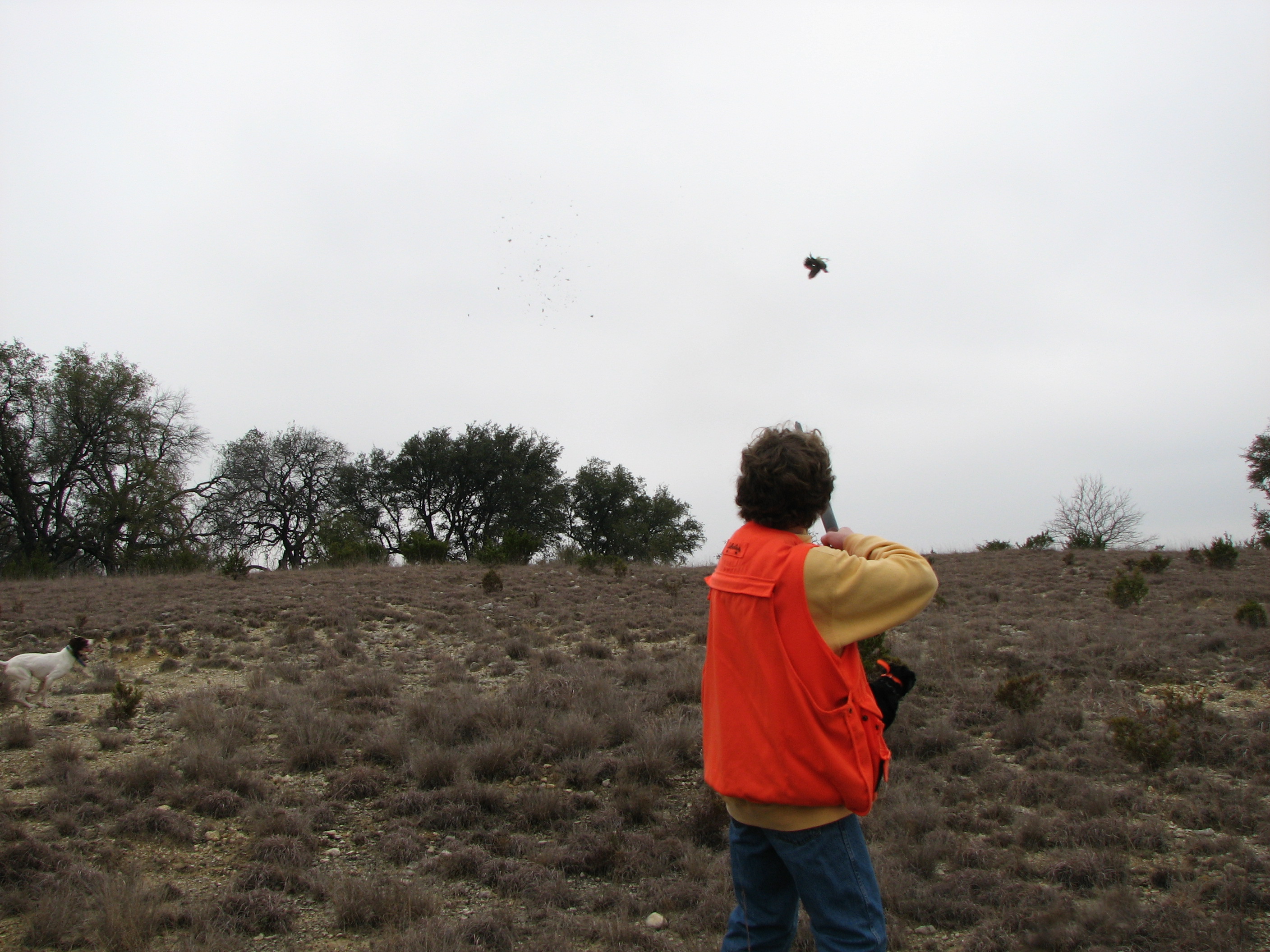 Kelan just shot a Quail. Notice the bird falling upside down