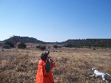 Look at Jacob aiming at shooting this bird Look at Jacob aiming at shooting this bird