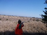 Jacob shot two Quail in one shot Jacob shot two Quail in one shot