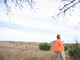 Hunting at Rough Creek. Kelan is shooting. The circle shows where the bird is Hunting at Rough Creek. Kelan is shooting. The circle shows where the bird is