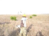 Hunting at Rough Creek. Jacob is shooting. The circle shows where the bird is Hunting at Rough Creek. Jacob is shooting. The circle shows where the bird is