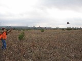 Kelan shooting. In the morning the boys shot 45 birds and in the afternoon 44 birds Kelan shooting. In the morning the boys shot 45 birds and in the afternoon 44 birds