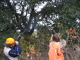 A bird in a tree. In the morning the boys shot 45 birds and in the afternoon 44 birds