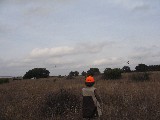 Time to shoot birds. In the morning the boys shot 45 birds and in the afternoon 44 birds Time to shoot birds. In the morning the boys shot 45 birds and in the afternoon 44 birds