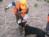 Dog with Chukar. This time the boys got 64 birds. Dog with Chukar. This time the boys got 64 birds.