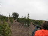 Jacob shooting. This time the boys got 64 birds Jacob shooting. This time the boys got 64 birds