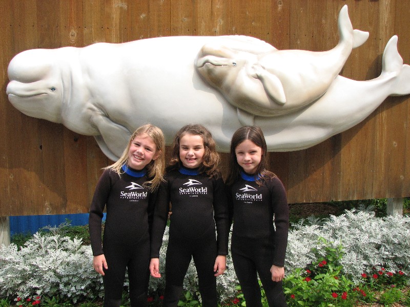 We did a special beluga whale interaction tour at Sea World in San Antonio.