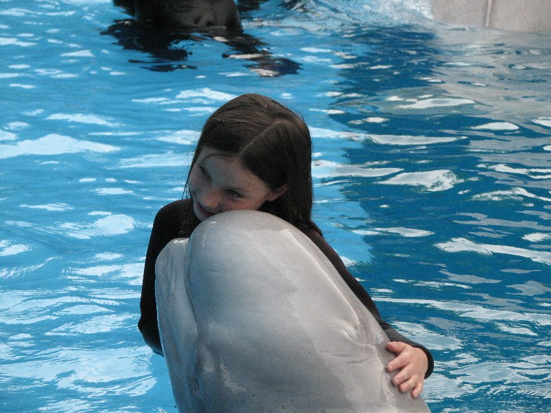 Anden and Beluga Whale