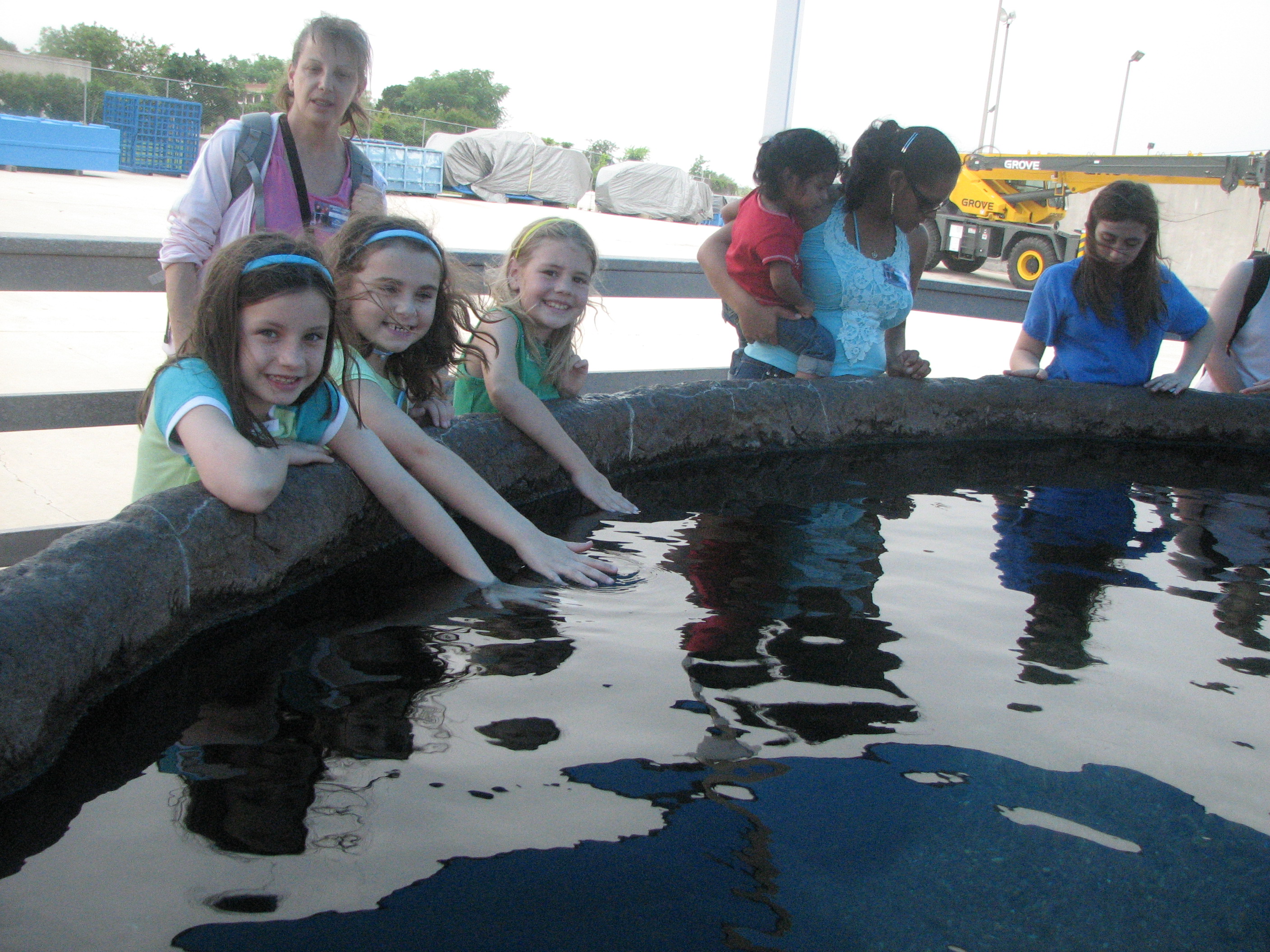 Touching sting rays
