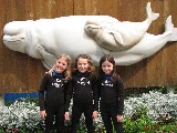 We did a special beluga whale interaction tour at Sea World in San Antonio.