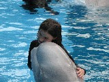Anden and Beluga Whale