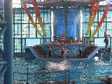 The show in action