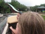 Time for a log ride