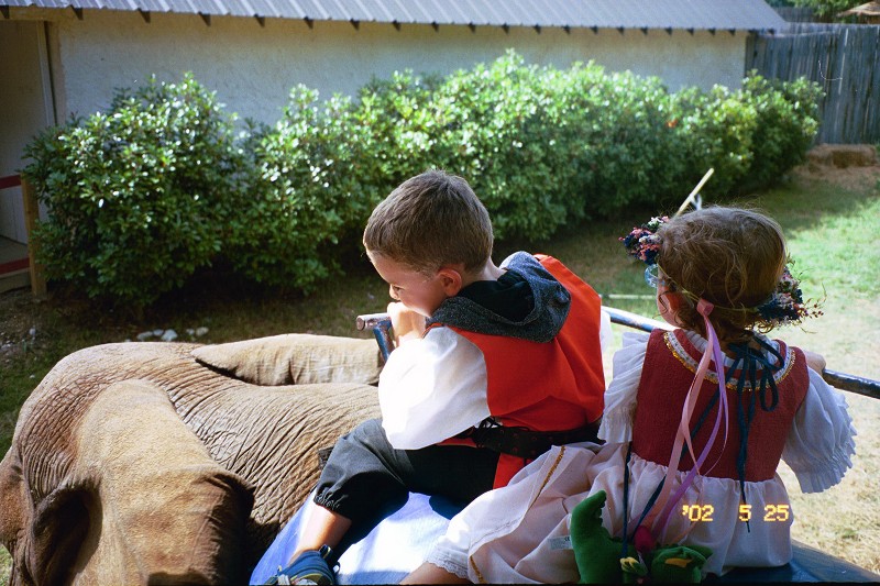 David and Rachel on the Elephant ride