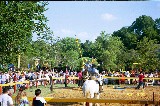 Jousting is held a couple of times a day at Scarborough Faire Jousting is held a couple of times a day at Scarborough Faire