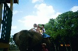 Klea, Anna and Sara Van Newkirk on the Elephant ride. They are good friends of us from Ohio Klea, Anna and Sara Van Newkirk on the Elephant ride. They are good friends of us from Ohio