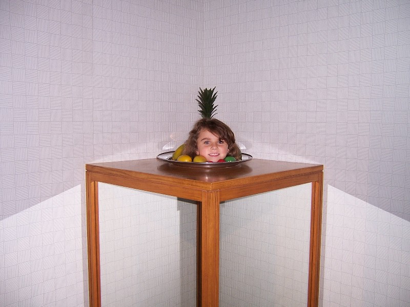 Rachels head, an optical illusion at Brisbane Museum.