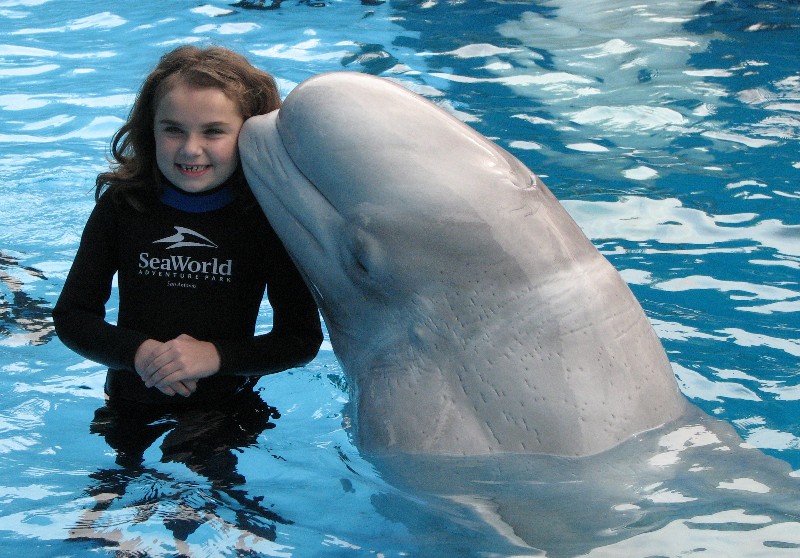 Rachel and a narwhal at Sea World San Antonio