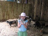 Rachel at petting zoo at Scarborough Faire