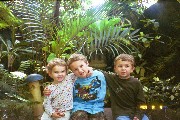 Rachel, Jacob, David at Moody Gardens Gardens, Galveston, Texas.